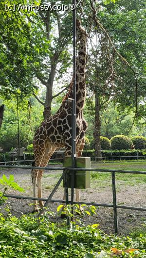 foto-vacanta la Descoperă Shanghai