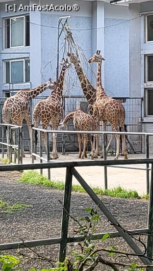 foto-vacanta la Descoperă Shanghai