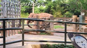 foto-vacanta la Descoperă Shanghai