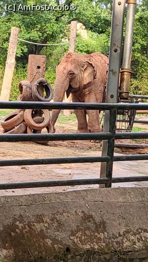 foto-vacanta la Descoperă Shanghai