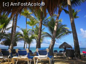 foto-vacanta la Sirenis Punta Cana Resort Casino & Aquagames