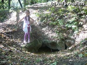 P06 [JAN-1970] Intrarea în grota de la Curţile Zmeilor, altădată locuită de... zmei, acum năpădită de frunze - 2012