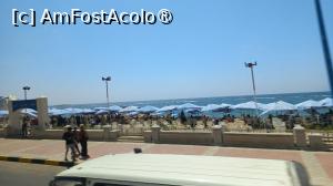 foto-vacanta la Descoperă Alexandria şi împrejurimile