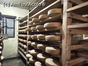 P50 [OCT-2025] Ferma de brânză de nak