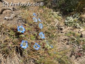 P63 [OCT-2025]  --- (nu are descriere)