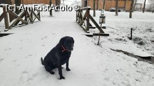 P21 [FEB-2025] Domeniul Zabola Estate