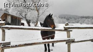 P22 [FEB-2025] Domeniul Zabola Estate