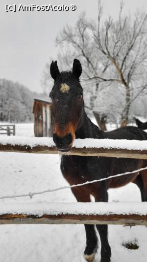 P23 [FEB-2025] Domeniul Zabola Estate