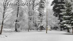 P25 [FEB-2025] Domeniul Zabola Estate