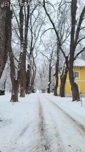 P28 [FEB-2025] Domeniul Zabola Estate