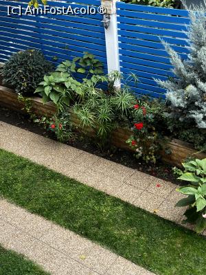 P18 [OCT-2025]  --- (nu are descriere)