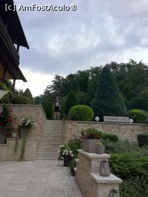 foto-vacanta la Pensiunea Aby (ex Abigel) 