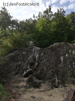 foto-vacanta la Pensiunea Aby (ex Abigel) 