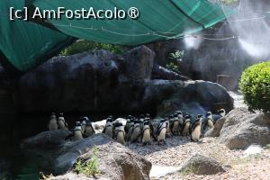 foto-vacanta la Zoo Budapesta