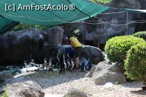 foto-vacanta la Zoo Budapesta