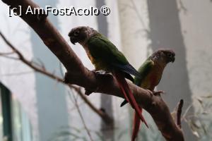 foto-vacanta la Zoo Budapesta