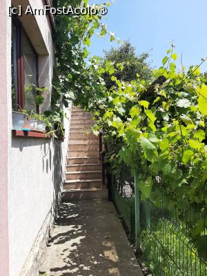 P10 [JUN-2025] Pensiunea Poiana cu Cetate