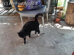 P24 [JUN-2025] Pensiunea Poiana cu Cetate