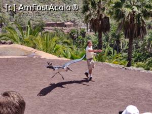 foto-vacanta la Descoperă Gran Canaria