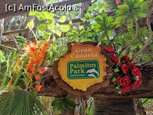 foto-vacanta la Descoperă Gran Canaria