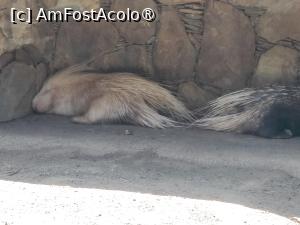foto-vacanta la Descoperă Gran Canaria