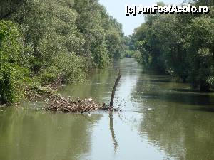 P48 [JUN-2012] Un nedorit obstacol pe canalul de navigație în timpul croazierei în Delta Dunării, surprins de la bordul navei ”Delta II”