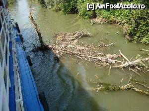 P49 [JUN-2012] Peisaj surprins în timpul croazierei în Delta Dunării, de la bordul navei ”Delta II”