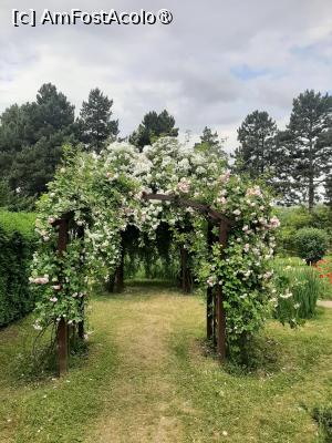 P47 [JUN-2025] Prin Rosarium