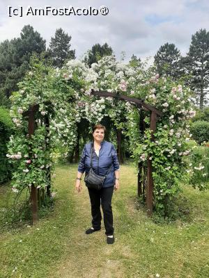 P48 [JUN-2025] Prin Rosarium Chiar AmFostAcolo
