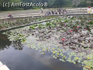 foto-vacanta la La pas prin Gradina Botanică