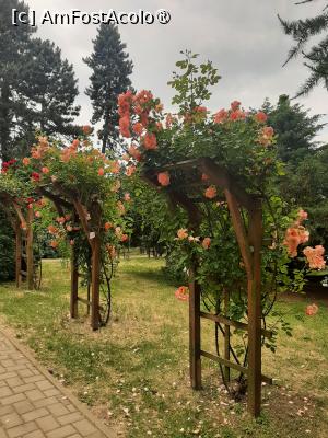foto-vacanta la La pas prin Gradina Botanică