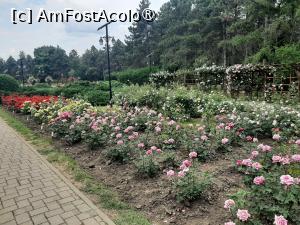 foto-vacanta la La pas prin Gradina Botanică