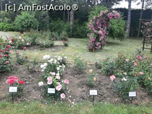 P65 [JUN-2025] Prin Rosarium