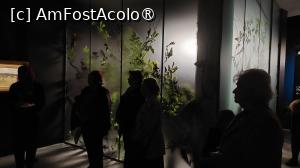 foto-vacanta la Festivaluri, târguri, expoziții bucureștene