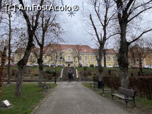 P23 [DEC-2025] Sfântu Gheorghe. Parcul Elisabeta, și în plan îndepărtat, Biblioteca Județeană 'Bod Peter'.