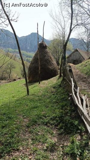 foto-vacanta la Parcul Național Domogled & Munții Cernei