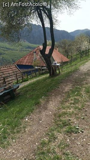 foto-vacanta la Parcul Național Domogled & Munții Cernei