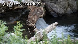 foto-vacanta la Morile de apă de la Rudăria [Eftimie Murgu, CS]