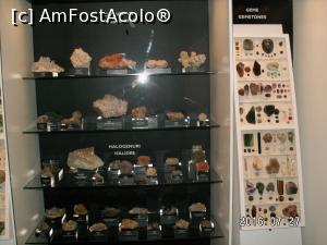foto-vacanta la Muzeul Naţional de Istorie Naturală 'Grigore Antipa'