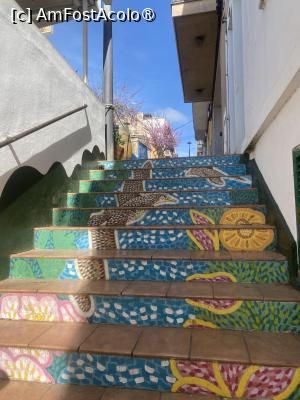 foto-vacanta la Descoperă Palma de Mallorca