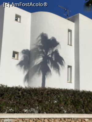 foto-vacanta la Descoperă Palma de Mallorca