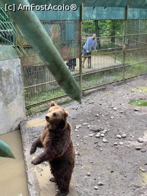 foto-vacanta la Grădina zoo Tîrgu Mureş