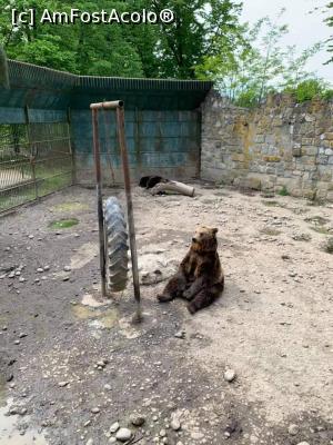 foto-vacanta la Grădina zoo Tîrgu Mureş