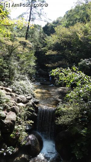 foto-vacanta la Descoperă insula Miyajima