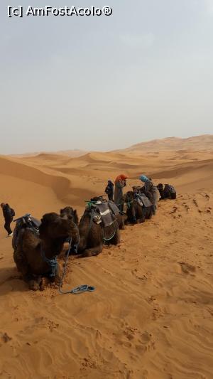 foto-vacanta la Descoperă Sahara & M-ţii Atlas