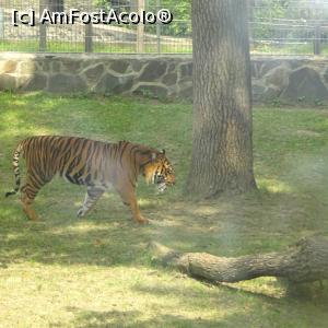 foto-vacanta la Sosto Zoo Nyiregyhaza