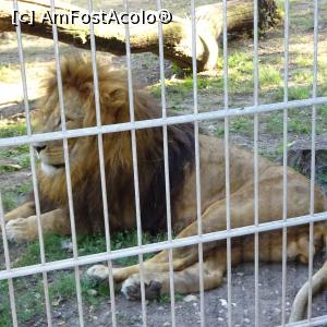 foto-vacanta la Sosto Zoo Nyiregyhaza