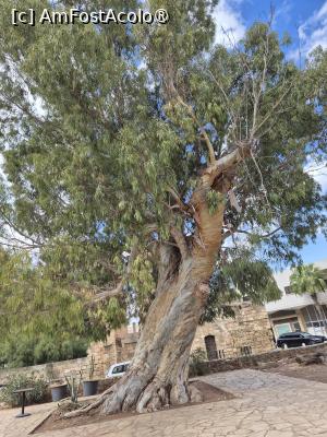 foto-vacanta la Vacanţa în Ciprul de Nord