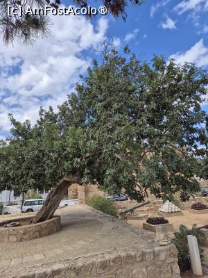 foto-vacanta la Vacanţa în Ciprul de Nord