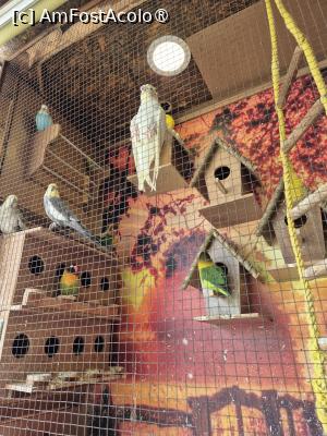 foto-vacanta la Vacanţa în Ciprul de Nord